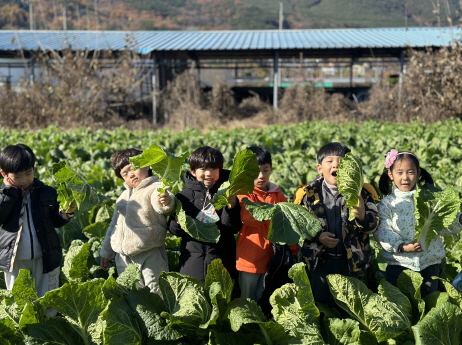 배추를 관찰해요~